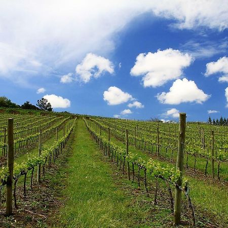 Quinta Dos Capuchos Casa Da Adega Villa อัลโกบาซา ภายนอก รูปภาพ